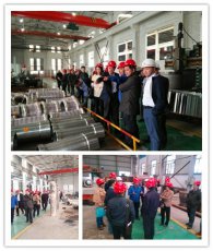 City Economic and Information Bureau and other leaders visited the company